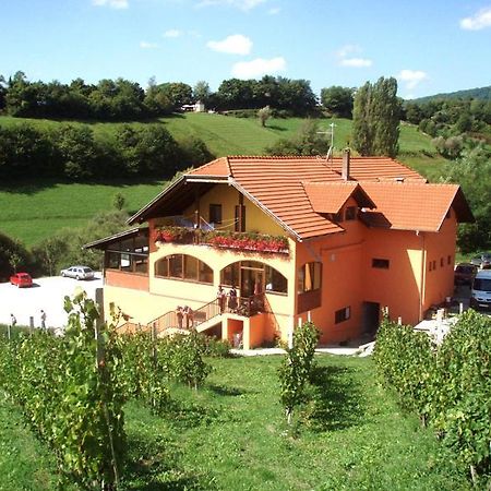 Klet Jana Bed & Breakfast Jastrebarsko Extérieur photo