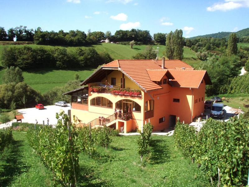 Klet Jana Bed & Breakfast Jastrebarsko Extérieur photo