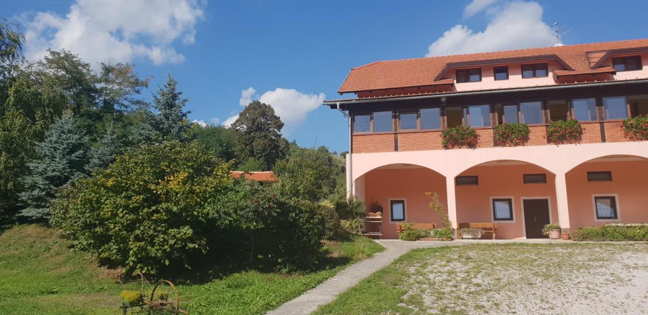 Klet Jana Bed & Breakfast Jastrebarsko Extérieur photo