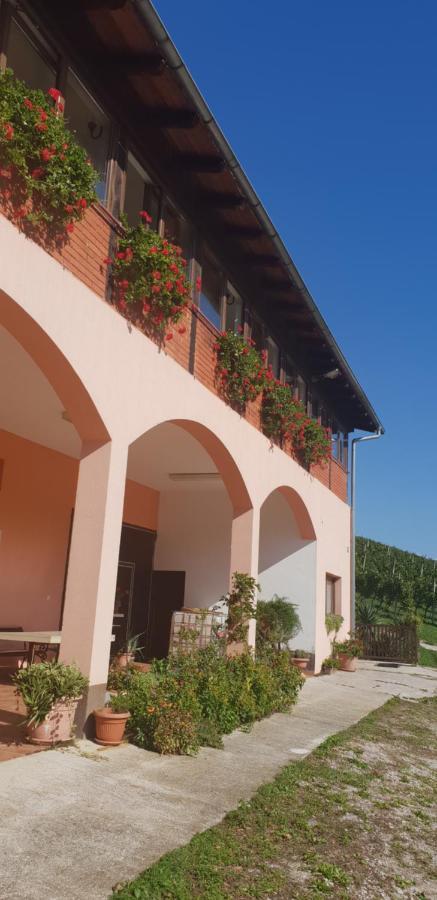 Klet Jana Bed & Breakfast Jastrebarsko Extérieur photo