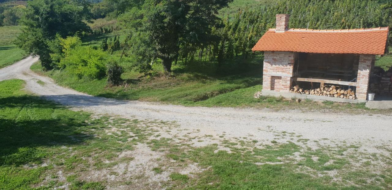 Klet Jana Bed & Breakfast Jastrebarsko Extérieur photo