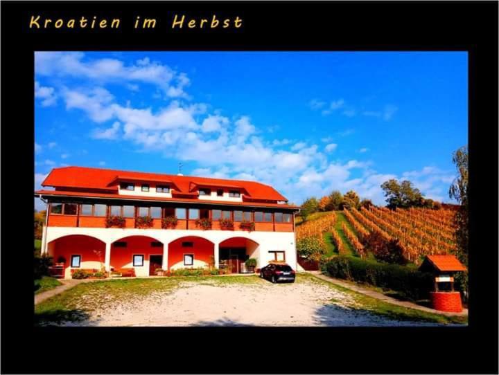 Klet Jana Bed & Breakfast Jastrebarsko Extérieur photo
